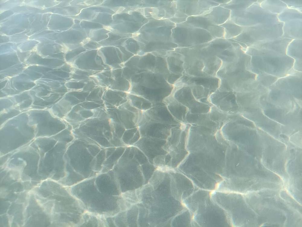 mfeilner's profile header