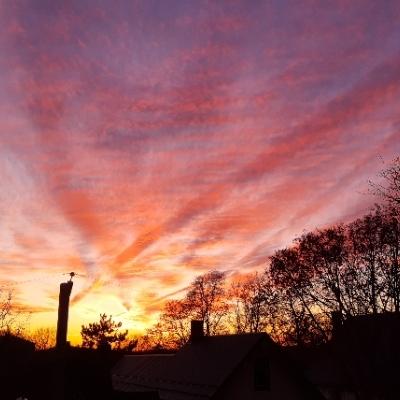 joybooster's profile header