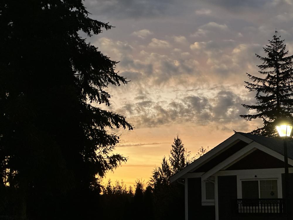 andymoose's profile header