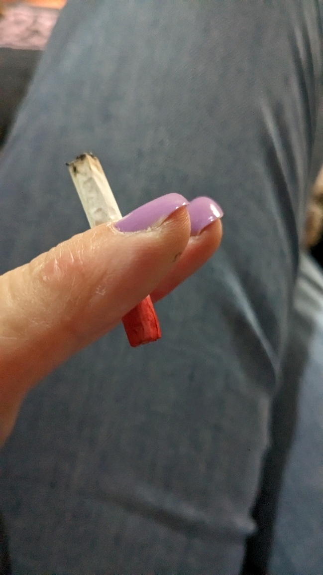 MelissaBearTrix's profile header