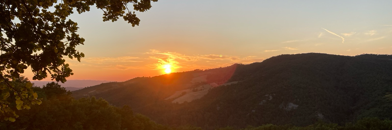 Drachenschuppe's profile header