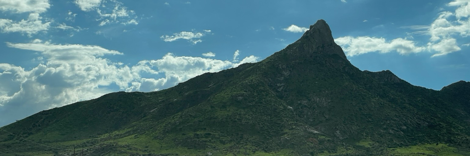 morningwitch's profile header