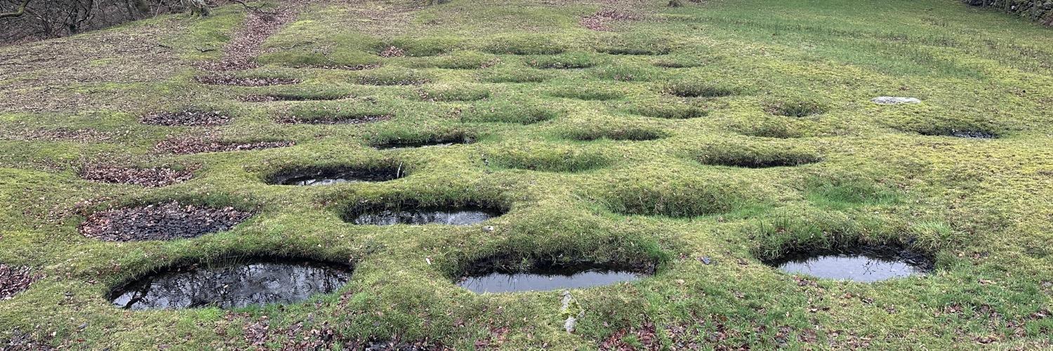 brian's profile header