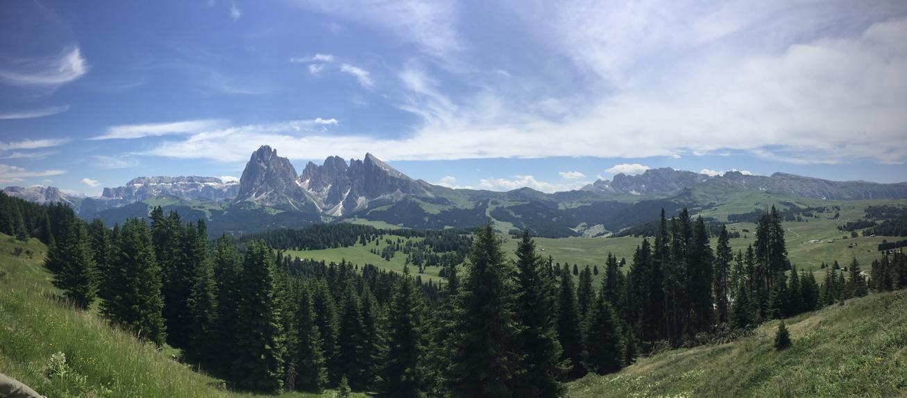 missiongiraffe's profile header