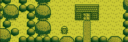 shaadra's profile header