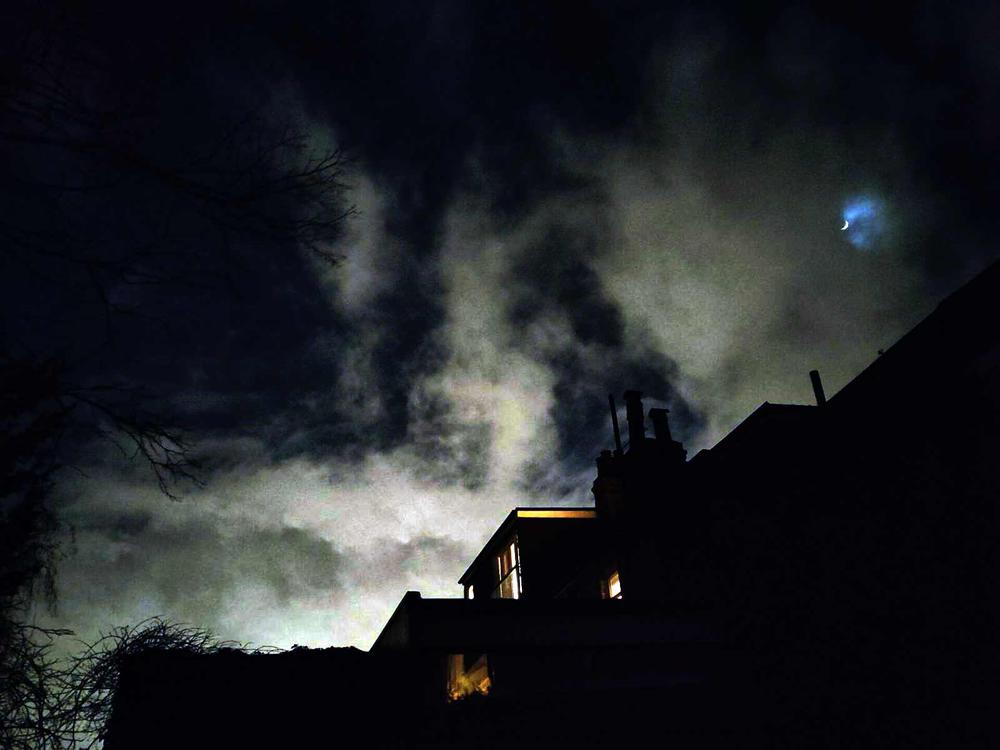 wilfridl's profile header