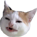 :angery: