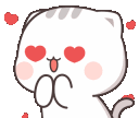 :CattoLooove: