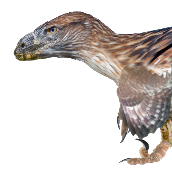 :utahraptor: