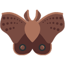 :moth_brown: