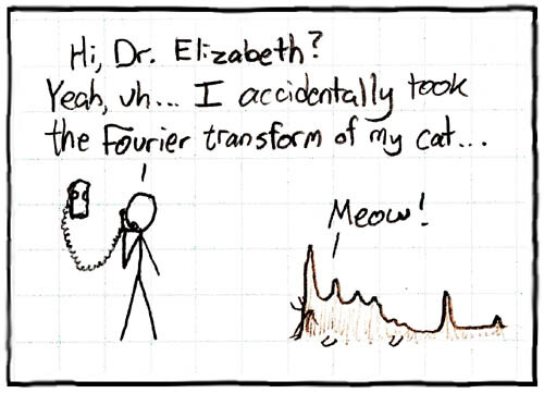 A single pane comic strip by XKCD.com. On the left, a human stick figure is on the phone, saying "Hi, Dr. Elizabeth? Yeah, uh... I accidentally took the Fourier transform of my cat...". On the right is a wave graph with whiskers and tiny feet, vaguely resembling a cat, saying "Meow!".