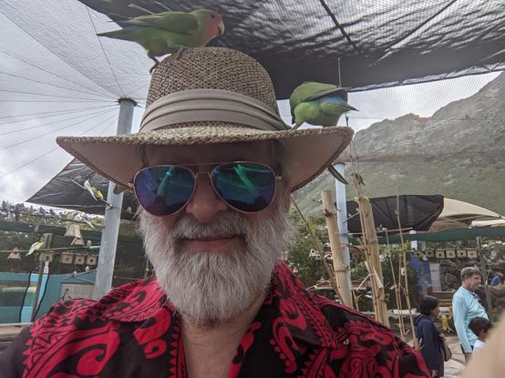 Selfie with two lovebirds standing on poster's hat.