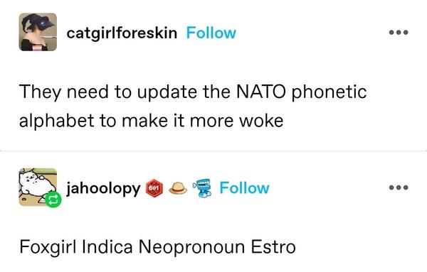 catgirlforeskin: They need to update the NATO phonetic alphabet to make it more woke 
jahoolopy: Foxgirl Indica Neopronoun Estro