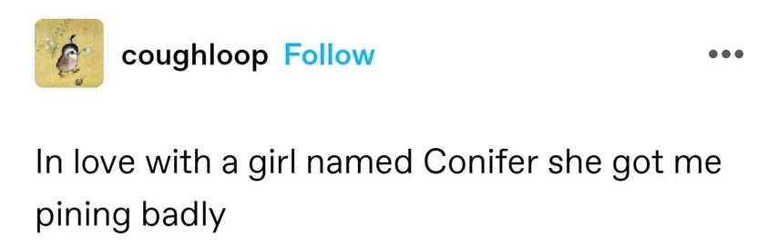 In love with a girl named Conifer she got me pining badly