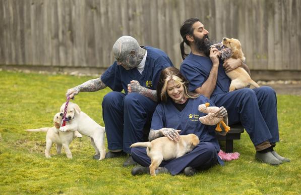 From left to right sitting in a row, a man with numerous blue coloured facial tattoos, a woman with facial tattoos and piercings and another man with long hair and a very long beard – all are wearing navy blue Guide Dogs branded scrubs. The first man is holding a toy for two young guide dog pups (yellow Labradors) to play with. The woman holds a young yellow Labrador puppy in her lap and is also holding a stuffed duck. The last man is holding a young yellow Labrador guide dog puppy on his lap, whilst holding a stuffed toy that the pup is playing with. There is a grassy area and fence in the background.