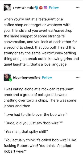 sky witch: when you’re out at a restaurant or a coffee shop or a target or whatever with your friends and you overhear/eavesdrop the same snippet of some stranger’s conversation, and you look at each other for a second to check that you both heard this stranger say the same weird/funny/baffling thing and just break out in knowing grins and quiet laughter… that’s a love language

blooming conifers: I was eating alone at a mexican restaurant once and a group of college kids were chatting over tortilla chips. There was some jabber and then..

“ ..we had to climb over the bob wire!”

“Dude, did you just say ‘bob wire’?”

“Yea man, that spiky shit!”

“You actually think it’s called bob wire? Like fucking Robert wire? You think it’s called Robert wire?”