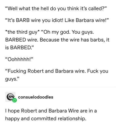 “Well what the hell do you think it’s called?”

“It’s BARB wire you idiot! Like Barbara wire!”

*the third guy* “Oh my god. You guys. BARBED wire. Because the wire has barbs, it is BARBED.”

“Oohhhhh!”

“Fucking Robert and Barbara wire. Fuck you guys.”

consuelodoodles: I hope Robert and Barbara Wire are in a happy and committed relationship.