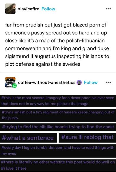 far from prudish but just got blazed porn of someone's pussy spread out so hard and up close like it's a map of the polish-lithuanian commonwealth and I'm king and grand duke sigismund II augustus inspecting his lands to plot defense against the swedes 

Screenshotted tags: this is the most visceral imagery for a description I've ever seen that doses not in any way let me picture the image. tryna smash but a tiny regiment of hussars keeps charging out of the pussy. trying to find the clit like bosnia trying to find the coast.