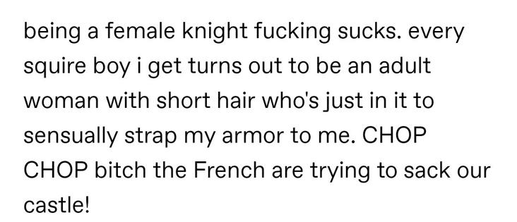 being a female knight fucking sucks. every squire boy i get turns out to be an adult woman with short hair who's just in it to sensually strap my armor to me. CHOP CHOP bitch the French are trying to sack our castle!