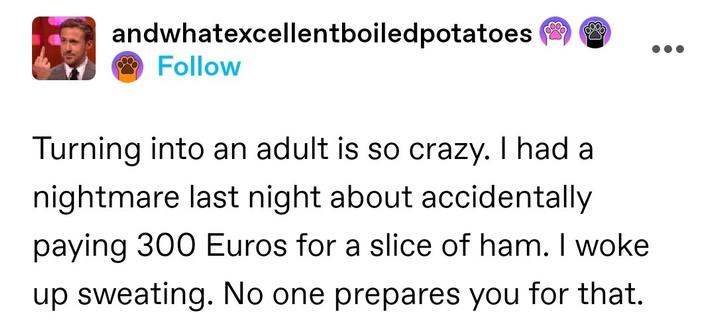 Turning into an adult is so crazy. I had a nightmare last night about accidentally paying 300 Euros for a slice of ham. I woke up sweating. No one prepares you for that.