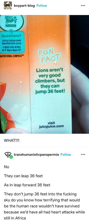 boypart blog: A juice box with a fun fact on it saying Lions  aren't very good climbers but they can jump 36 feet

transhumanistic panspermia: No. They can leap 36 feet. As in leap forward 36 feet. They don’t jump 36 feet into the fucking sky do you know how terrifying that would be the human race wouldn’t have survived because we’d have all had heart attacks while still in Africa