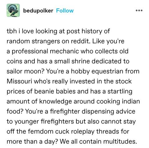 tbh i love looking at post history of random strangers on reddit. Like you're a professional mechanic who collects old coins and has a small shrine dedicated to sailor moon? You're a hobby equestrian from Missouri who's really invested in the stock prices of beanie babies and has a startling amount of knowledge around cooking indian food? You're a firefighter dispensing advice to younger firefighters but also cannot stay off the femdom cuck roleplay threads for more than a day? We all contain multitudes.