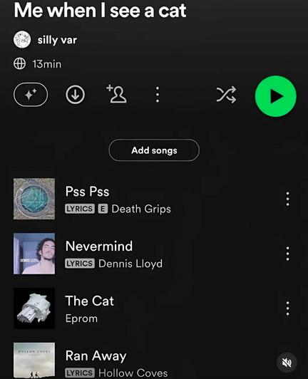 Screenshot of a Spotify playlist called “Me when I see a cat” the song titles are:
Pss Pss
Nevermind 
The cat
Ran away