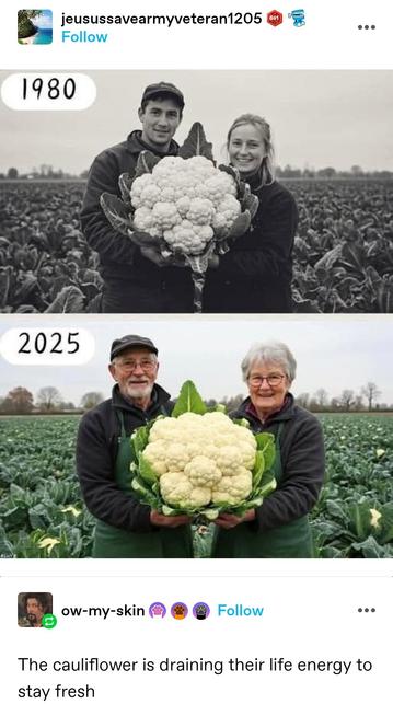 1980: Black and white pic of a man and woman holding an enormous cauliflower
2025: colour photo of (presumably the same) people holding an enormous cauliflower in the same pose. They are much older.


The cauliflower is draining their life energy to stay fresh