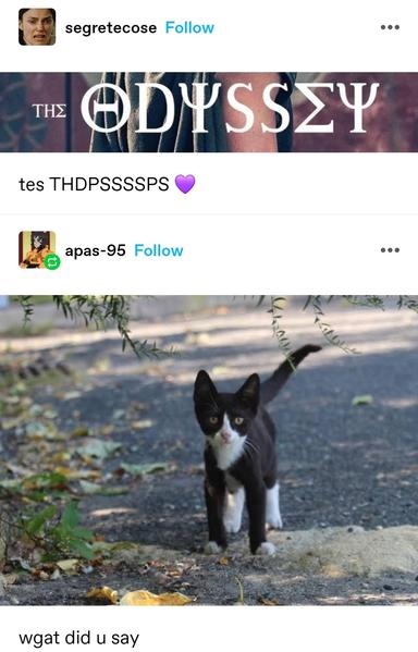 The title from the poster of the movie the odyssey, where text is styled using Greek letters which superficially resemble English ones but are not the same letter

tes THDPSSSSPS 💜

Photo of a cute tuxedo cat coming. What did you say