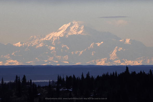 Denali fills the horizon bathed in bright white and deep shadows.