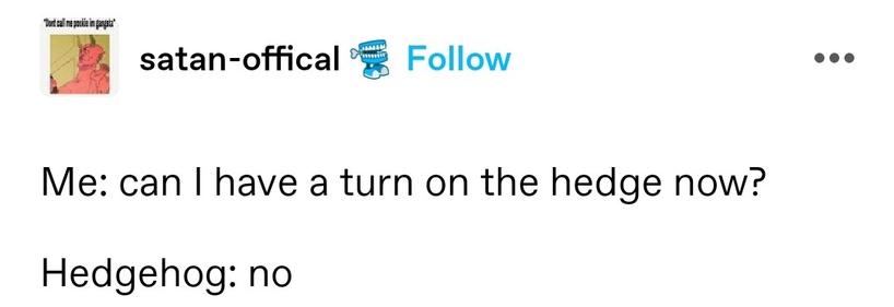 Me: can I have a turn on the hedge now?

Hedgehog: no