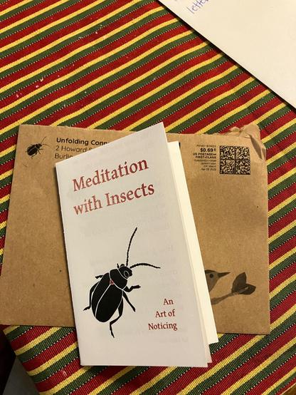 Cover of the zine "Meditation with Insects: An Art of Noticing, on the envelope it came in, from Unfolding Connections. The envelope is brown paper and there's an image of a small bug by the sender address, and a bird on a branch (partially covered by the zine) below the recipient address.