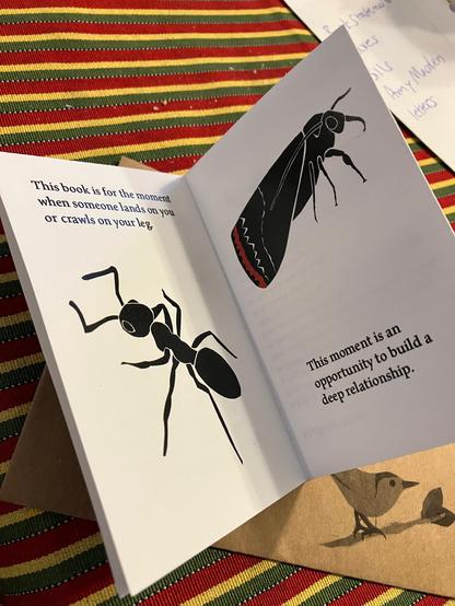 An inner spread of the zine, featuring an ant on the left and a moth on the right.

The text says, "This book is for the moment when someone lands on you or crawls on your leg. This moment is an opportunity to build a deep relationship."