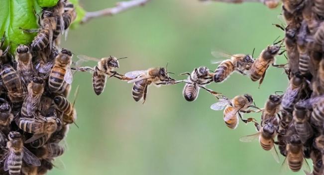 Trust is the killer app for the Indian internet economy