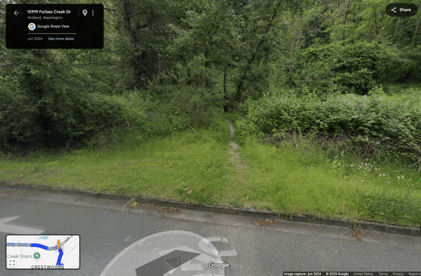 Google Maps streetview showing a sharp right turn over a sharp curb into a narrow intermittent grass and dirt path leading into a forest