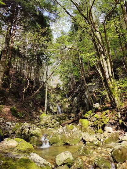 Au pied de la cascade au nom évocateur : le trou de la marmite.