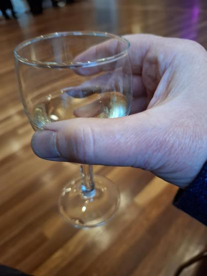 My hand holding a glass of white wine.