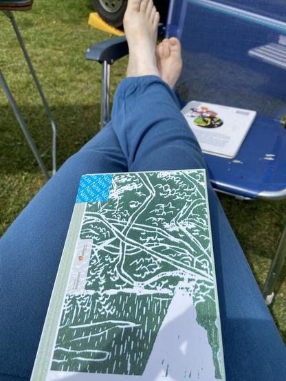 Een boek met een groene tekening van takken en gras op de voorkant. Het boek ligt op mijn schoot, met twee blote voeten die op een blauw stoeltje rusten.