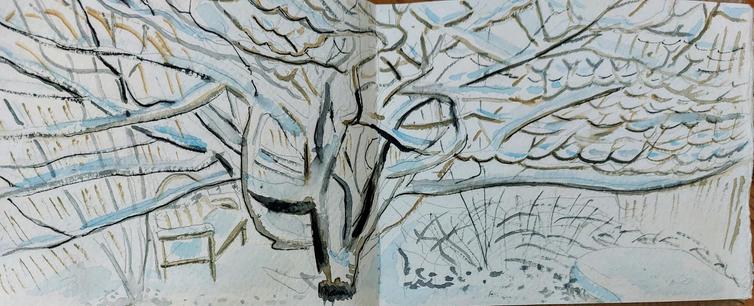 Magnolia in the snow with bench