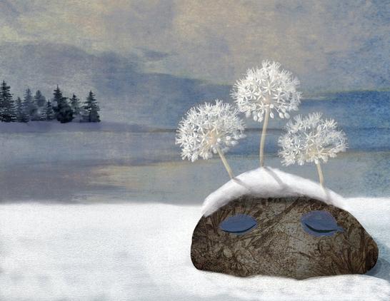 Pine trees line the distant shore of a lake, backlit against a stormy blue-gray sky. In the foreground, on a snowy bank, a solitary stone rests. Upon its face, two closed eyes and a linear pattern of foliage. Atop its gray head, a bit of snow and white, ghost-like blooming flowers from memories past. NOTE: This description created especially for my lovely blind friend, Georgiana. :-)