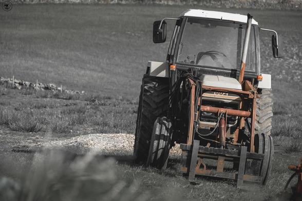 Front shot of old tractor in field