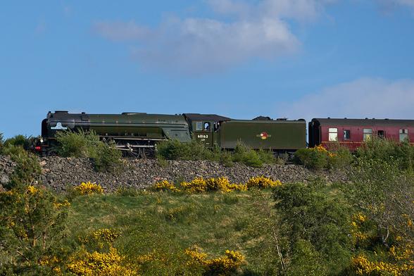 Close up shot of a green steam train (puffing out no steam sadly) hauling a maroon coach along a gorse covert bank. In the background is blue sky with some cloud.