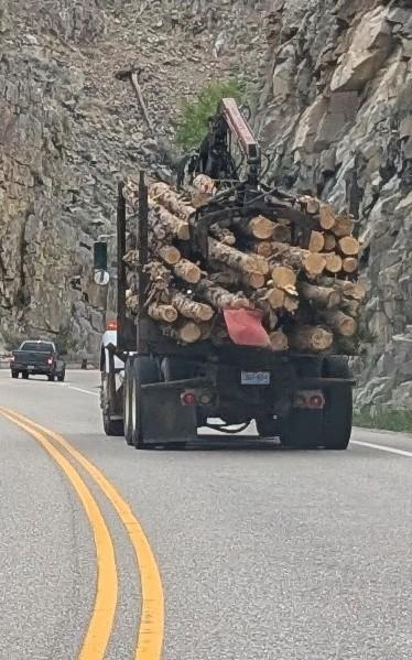 Truck loaded to the top with what appear to be freshly cut logs.