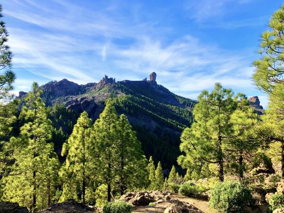 Lots of people think the best views from this part of the island in which you can check out Roque Nublo are right at the base of the monolithic structure. And they are not wrong, they are both equally majestic and sublime. However, my favourite spot to watch over Roque Nublo and the stunning landscape is from the nearby Presa de los Hornos that allows you to capture, in a much quieter and tranquil space, this kind of mind-blowing snap shot: Roque Nublo surrounded by forests of pine trees, high up in the mountains, and you can also see the accompanying "The Frog" (La Rana) and "The Monk" (El Monje) nearby. This photo was taken on a winter day with some thin clouds scattered around the sky and with a balmy 20C. Just plain gorgeous! 😍👍🏻