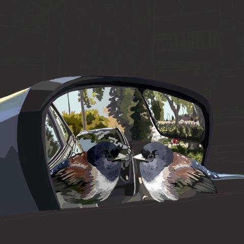A passenger side mirror of a Ford Fiesta. In front of it a Dark Eyed Junco stares at its reflection in the mirror. Also reflected is a wooded street scene and some cars.