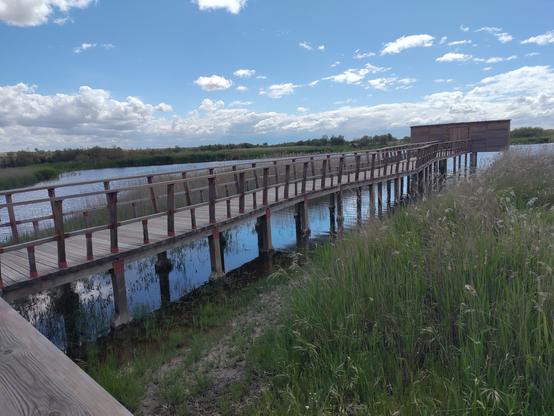 Tablas de Daimiel 2025 se ve algo de agua