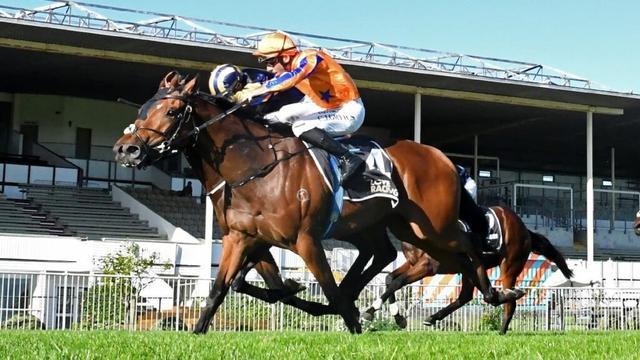 Horse racing: Towering Vision claims stakes victory in desperate finish