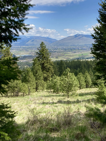 Looking between evergreens and down a grassy slope is a view of a broad, green valley where a hint of a river is visible to the left. In the distance are low mountains, though there is a hint of snow on the tops of those on the left. The sky is partly cloudy.