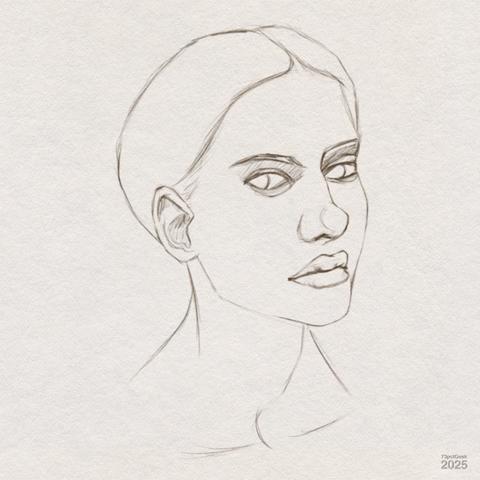 Digital sketch of a woman’s head.
