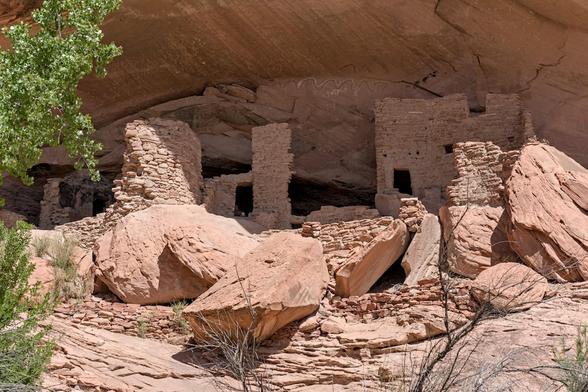 A color landscape photo of a ancient cliff dwelling tucked up under an alcove of brown-red sandstone. The walls are eroded but rooms are still discernible. There's three large window frames and a round turret on the left. There's a large gap in the middle and above that near the top pf the alcove is a snake like pictograph. Part of a tree is seen on the far left in he sunshine. Large boulders of sandstone lay tumbled at various angles in from of the structure.